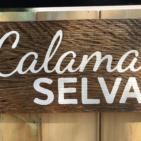 Dom wakacyjny Calama Selva *